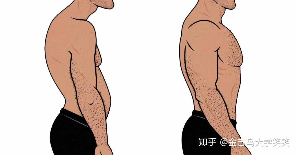 这个肌肉被称为代偿之王圆肩驼背肌肉不对称如何放松它