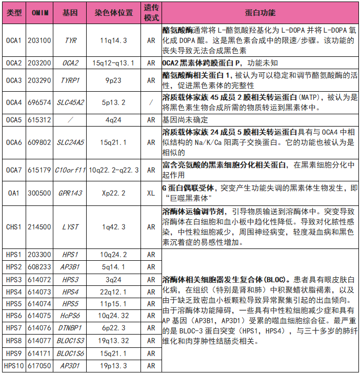 v2-bb31e1a77f5947d8d665f5b61421fd73_r.jpg