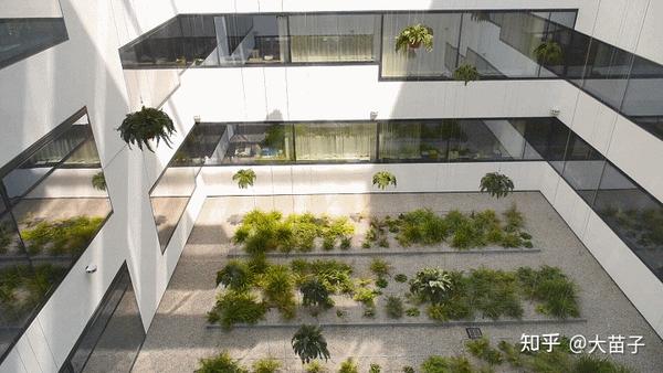 适老设计 浅谈康复花园中的植物疗愈设计 知乎