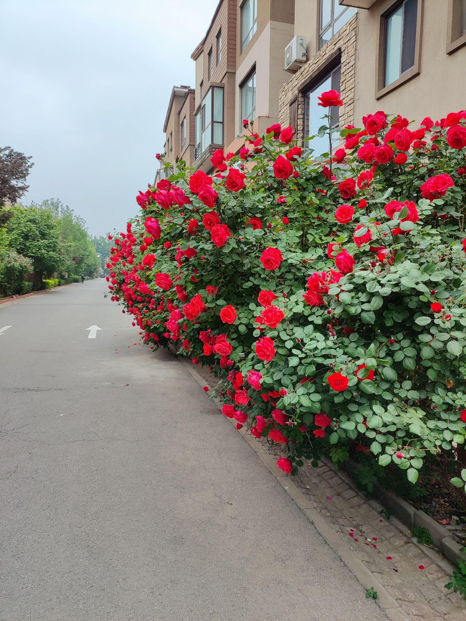 乐极生悲 - 知乎