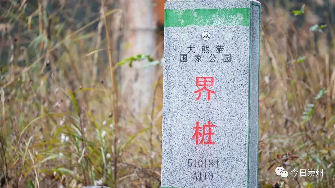 根据技术要求,大熊猫国家公园界桩分为主入口界碑,普通界碑,边界界桩