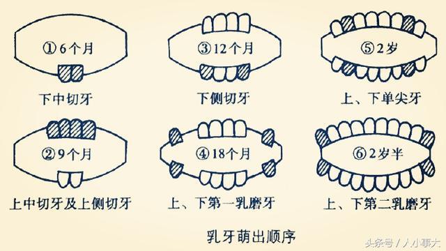 v2-bb54aaea1844abe7c82c3f86625de057_r.jpg