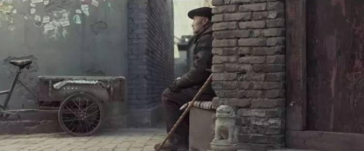 我养狗,是怕一个人死在了家里,都没人发现