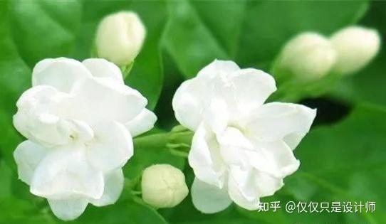 v2-bb57f765c63e03e4740c6656cef36de7_r.jpg