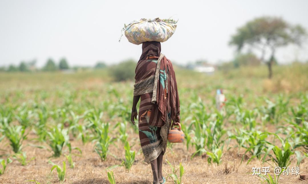 刚刚总统阵亡的乍得是个怎样的国家丨地球知识局