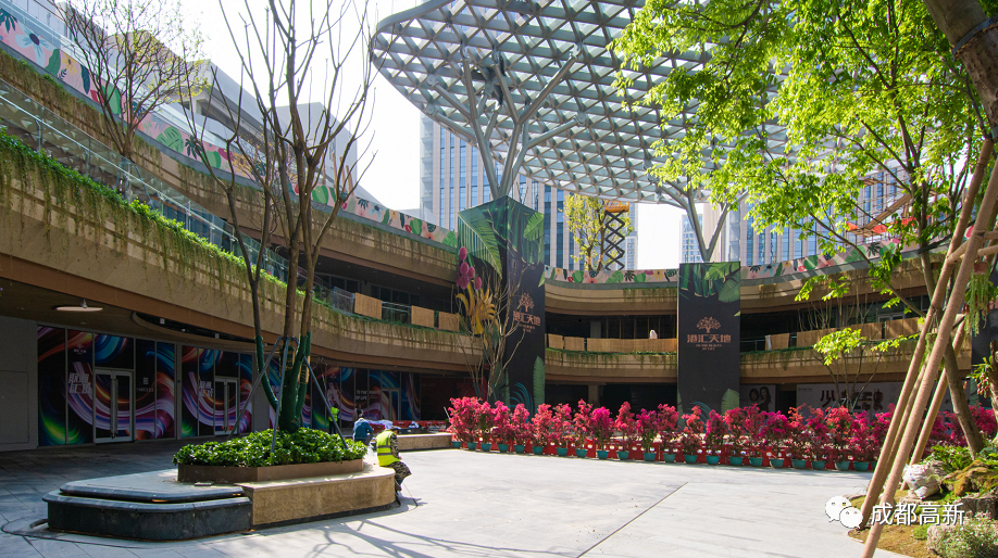 "公园" "森林"般的购物街区健康,自然,生态的商业环境更受青睐已经