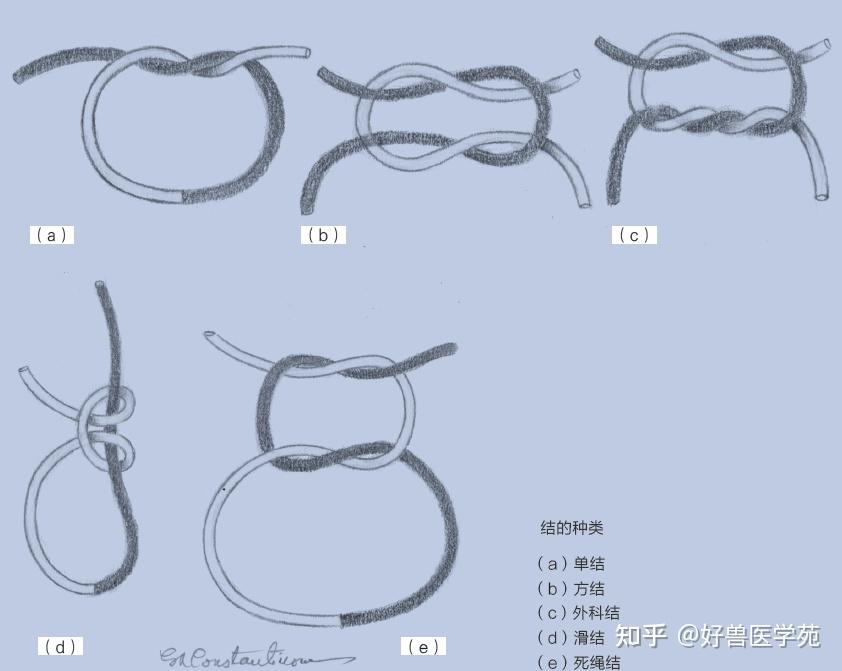 干货!图解外科徒手打结与器械打结的方法 - 知乎