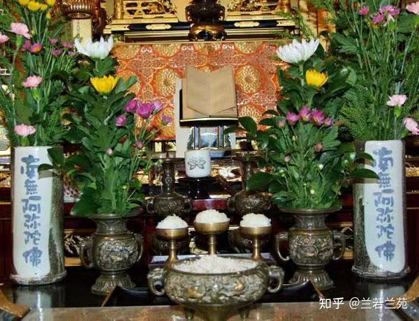 供花深刻认识[佛前供花]，一生处世如花 - 知乎