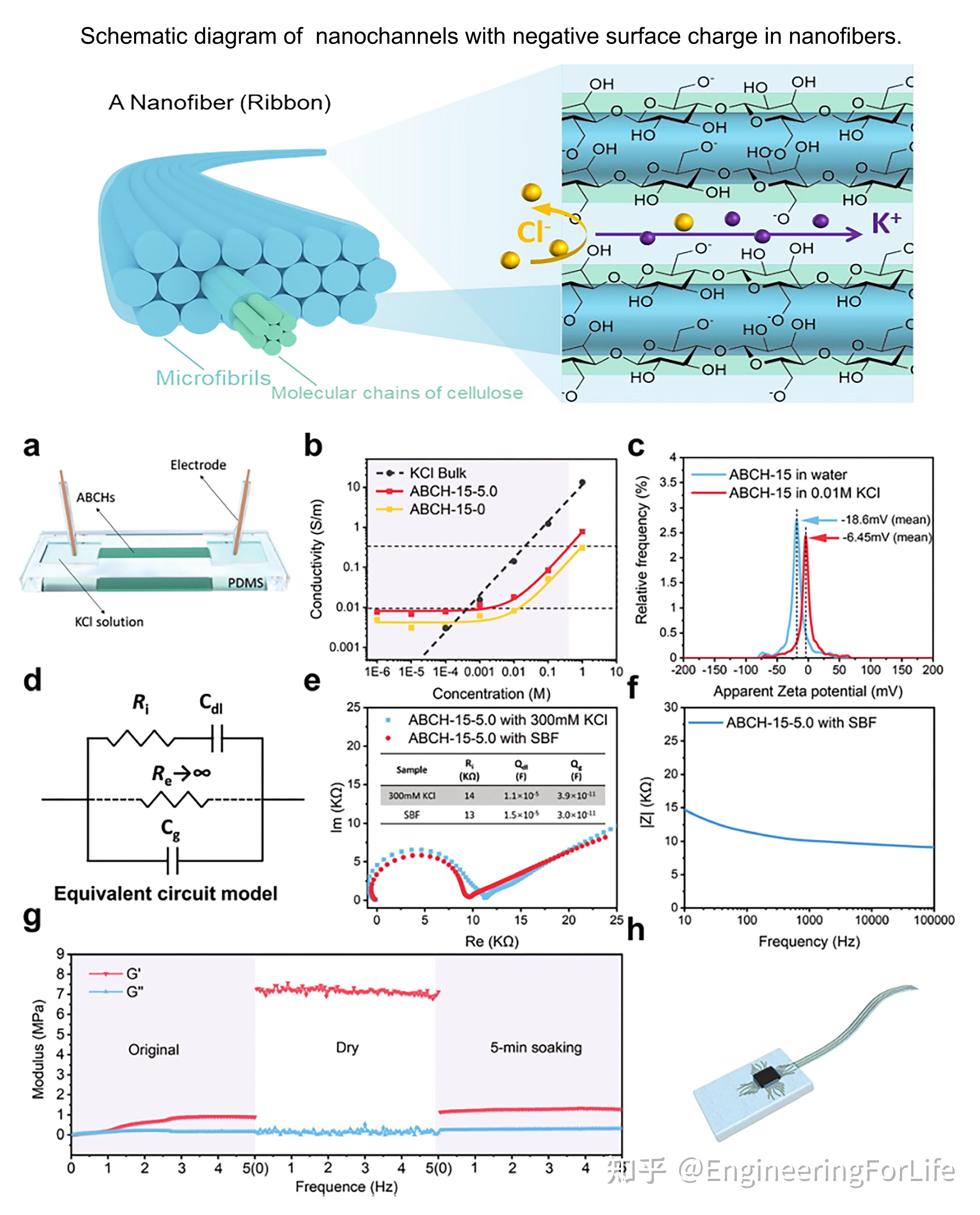 nanoscale:各向异性高强度细菌纤维素导电水凝胶