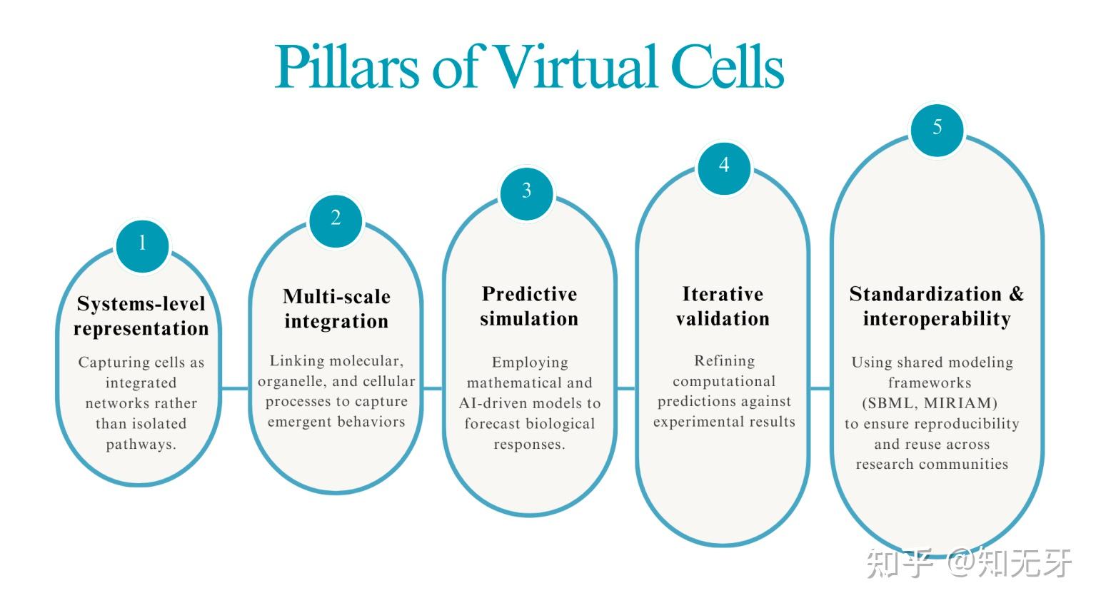 虚拟细胞(Virtual Cells):从概念框架到生物医学应用 - 知乎