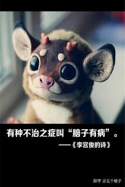 有没有一看就像脑子有病的文案