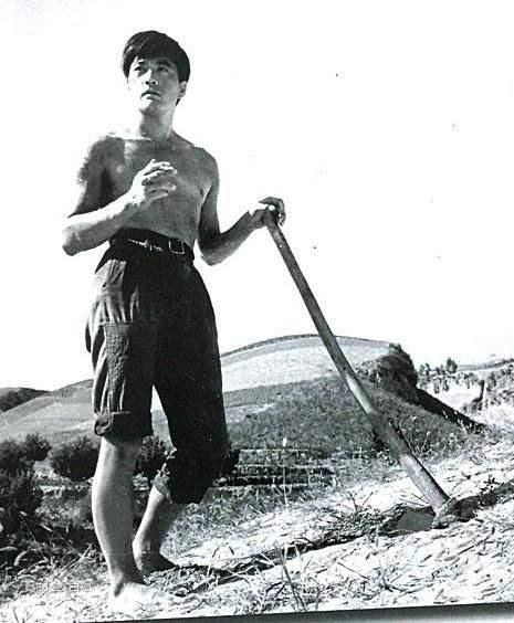 造成高加林人生悲剧的三大因素