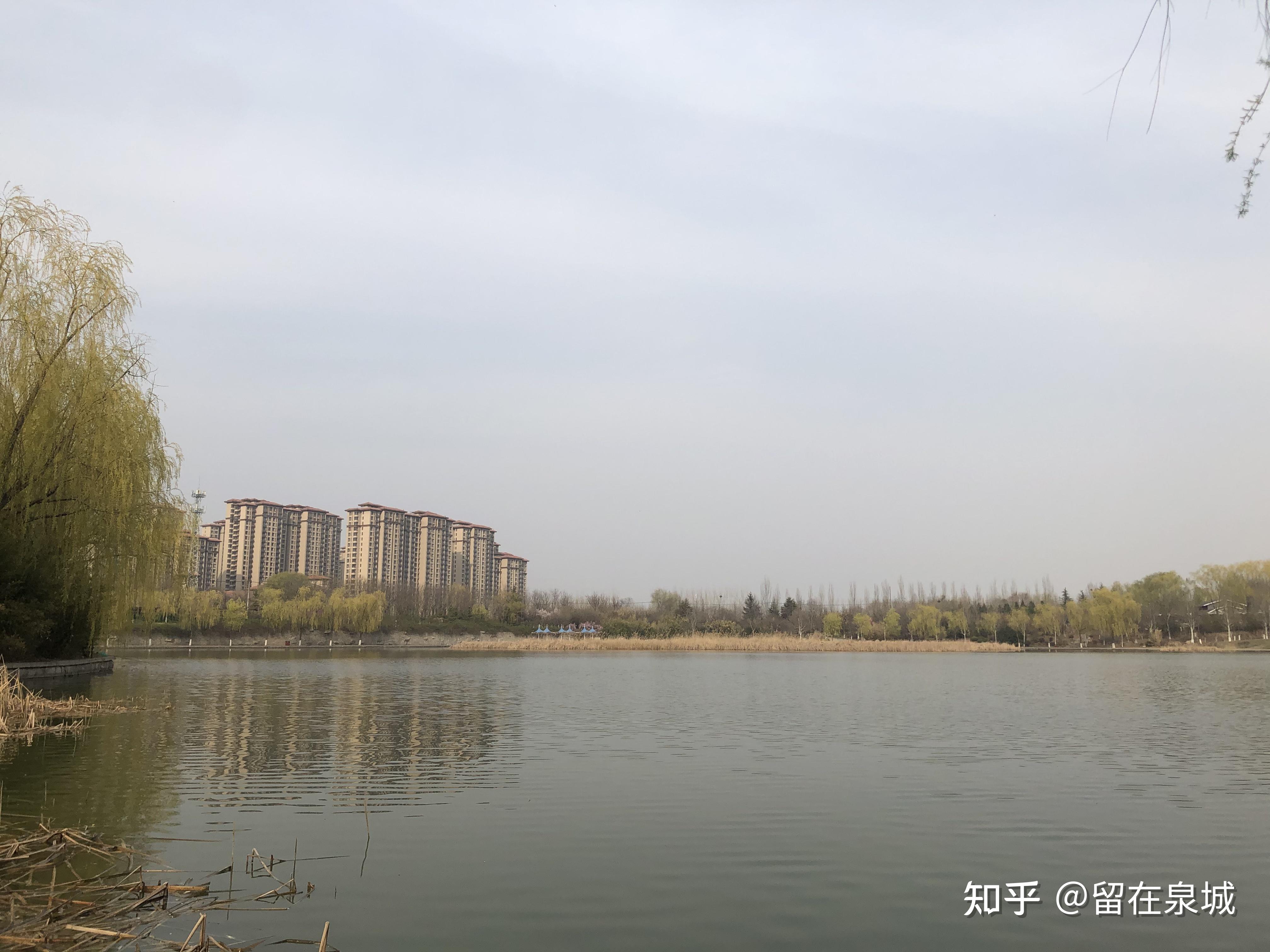 济南孙村进击的开荒者