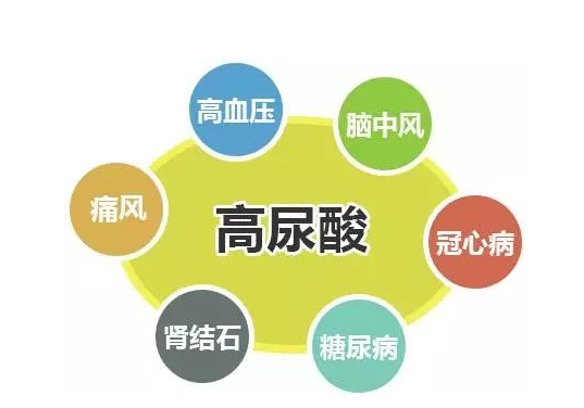 尿酸高能吃手抓餅嗎小夥實測告訴你答案真正要少吃的是這4物