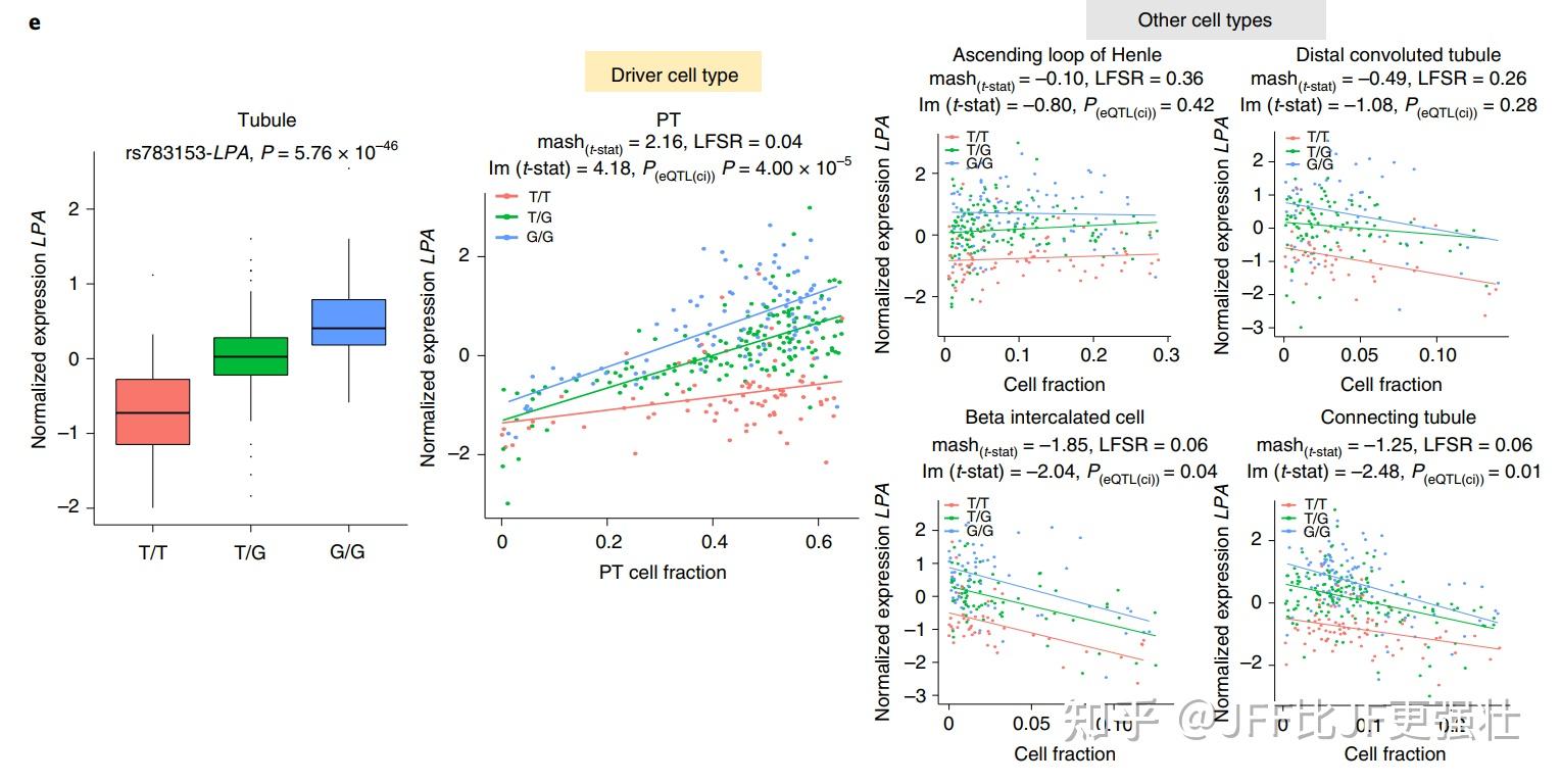 肾脏cell-type-interaction eQTL - 知乎