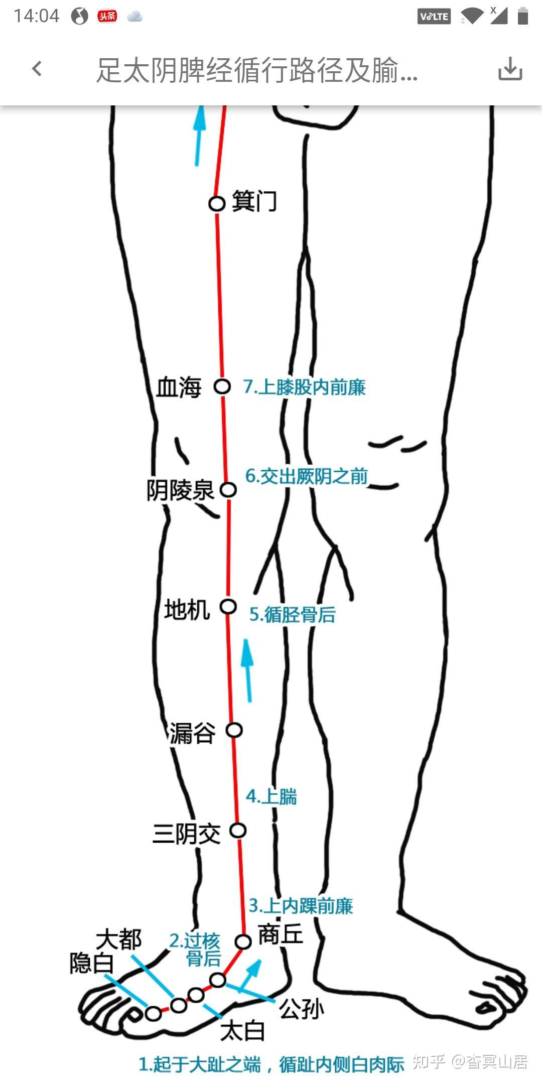 足三阴三阳经络循行及腧穴应用小考 - 知乎