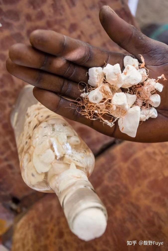 猴面包树油也叫做非洲生命树油baoboboil