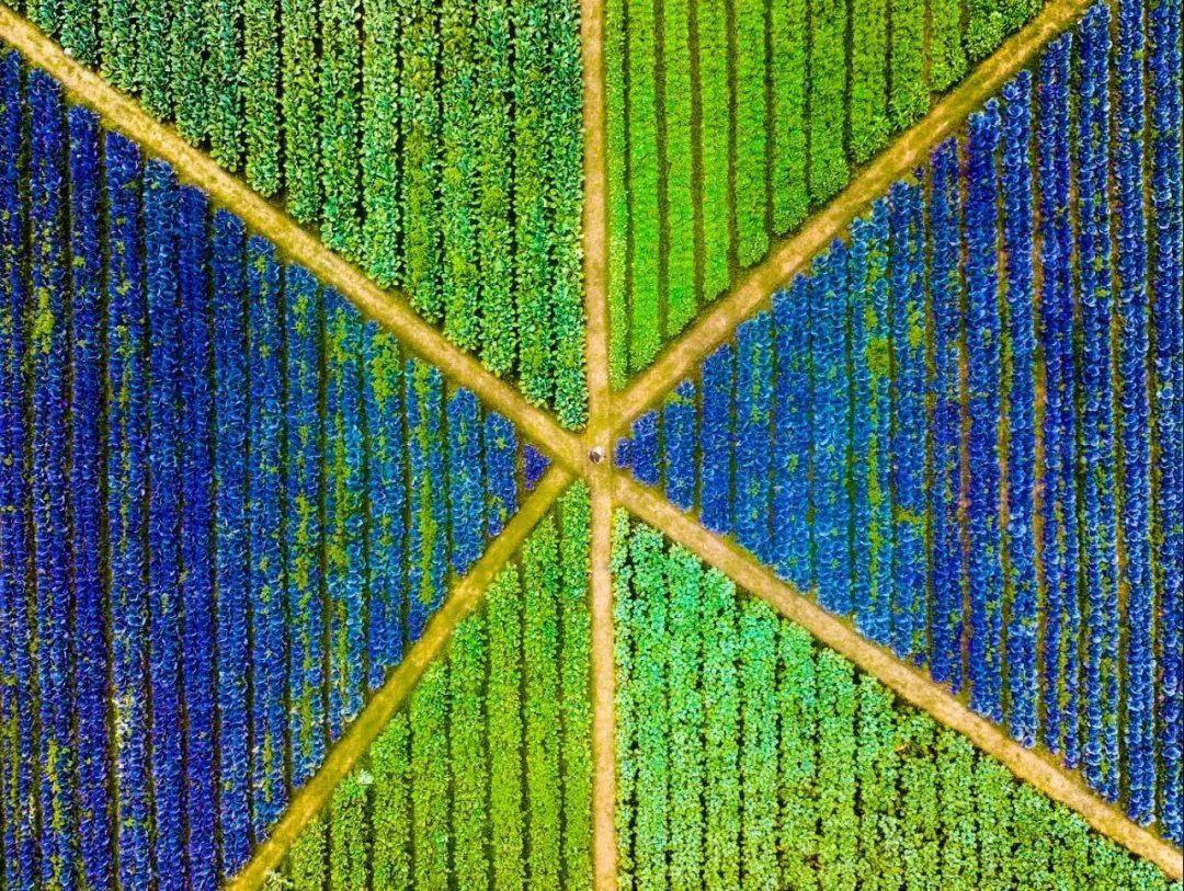 厦门三五丘七彩田园好玩吗