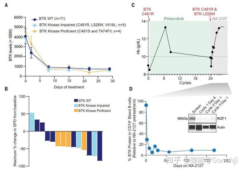 Nurix Therapeutics: BTK降解剂的生物学基础、生理功能及临床研究 - 知乎