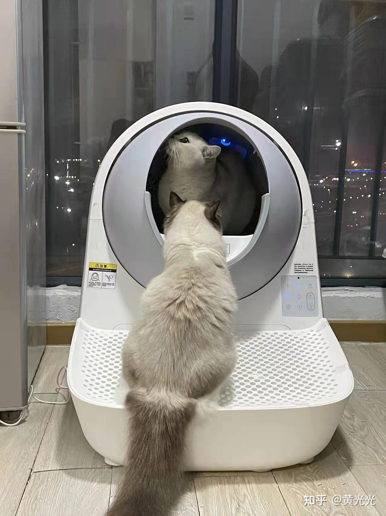 2022猫砂盆推荐,智能猫砂盆值得购买吗?封闭式和半封闭式猫砂盆哪个好? - 知乎