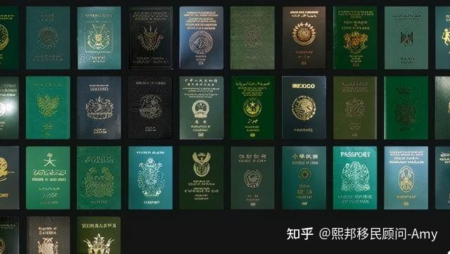 全世界护照只有四种颜色背后的原因是