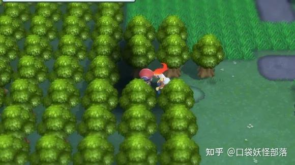 宝可梦晶灿钻石发售日期(《宝可梦晶灿钻石明亮珍珠》一周目图文攻略)  第223张