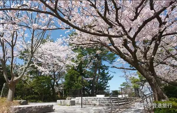 九州人气赏樱名所9选 这些乡土料理和樱花居然绝配了 知乎