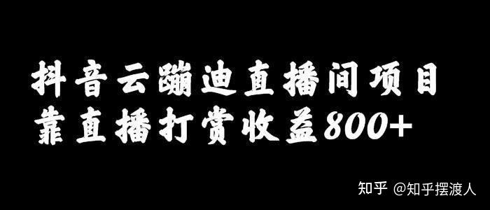 抖音云蹦迪直播间项目靠直播打赏收益800