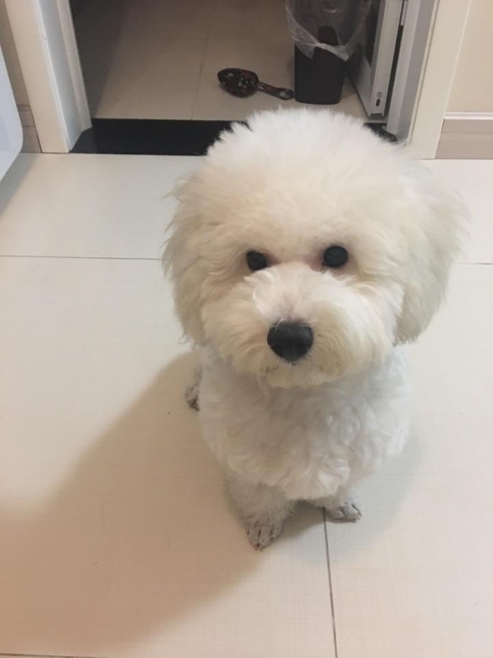 皮肤饥渴症是一种怎样的体验? - 知乎