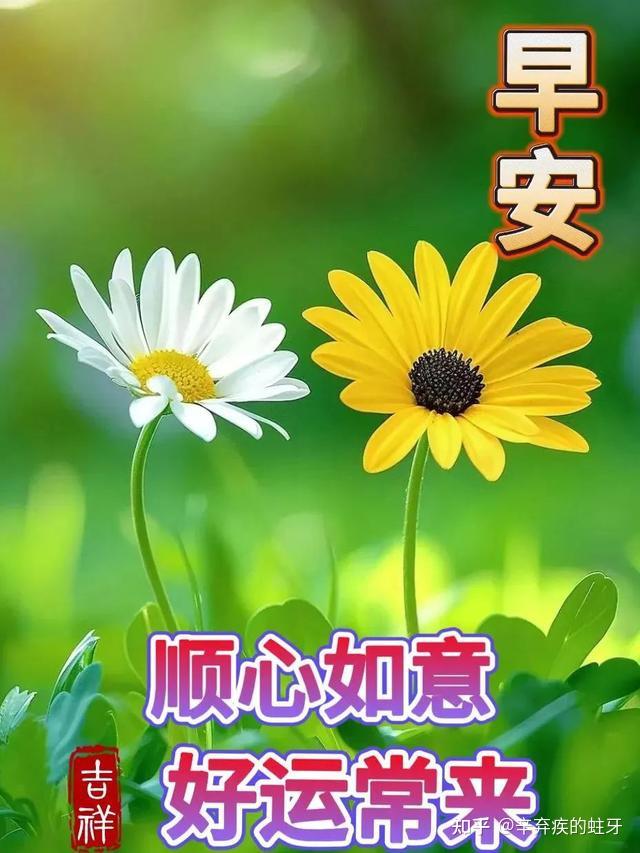 清晨甜蜜暖心的早上好问候语短信…