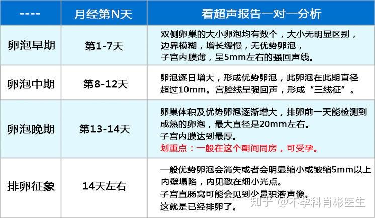 卵泡多大算成熟图片