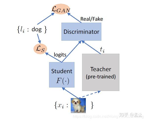 一. neuron selectivity transfer