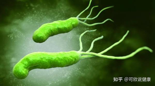 一旦出现这6种症状,就是感染幽门螺杆菌 - 知乎