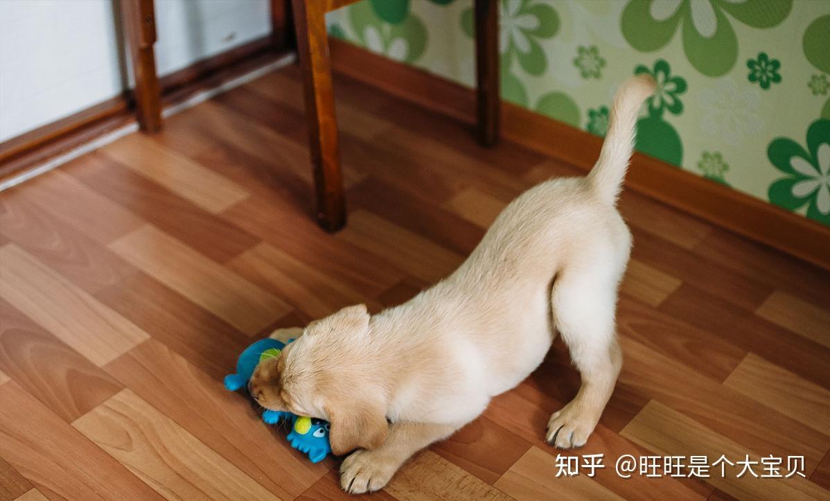 zhuanlan.zhihu.com