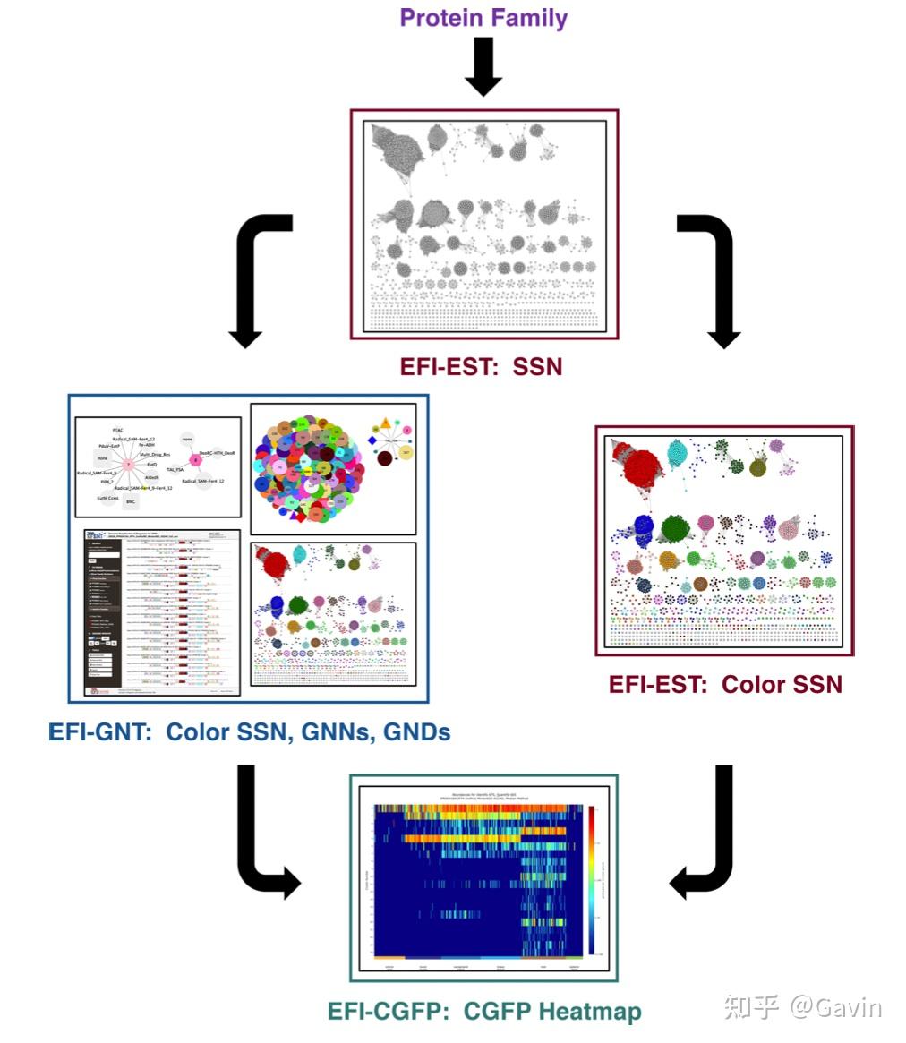 EFI - Enzyme Similarity Tool - 知乎