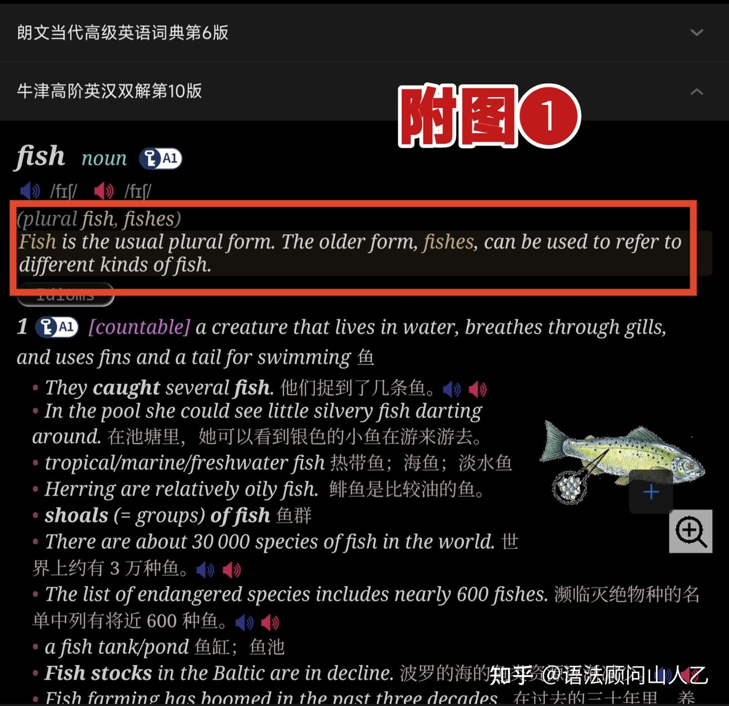 fish 是复数名词？ - 知乎