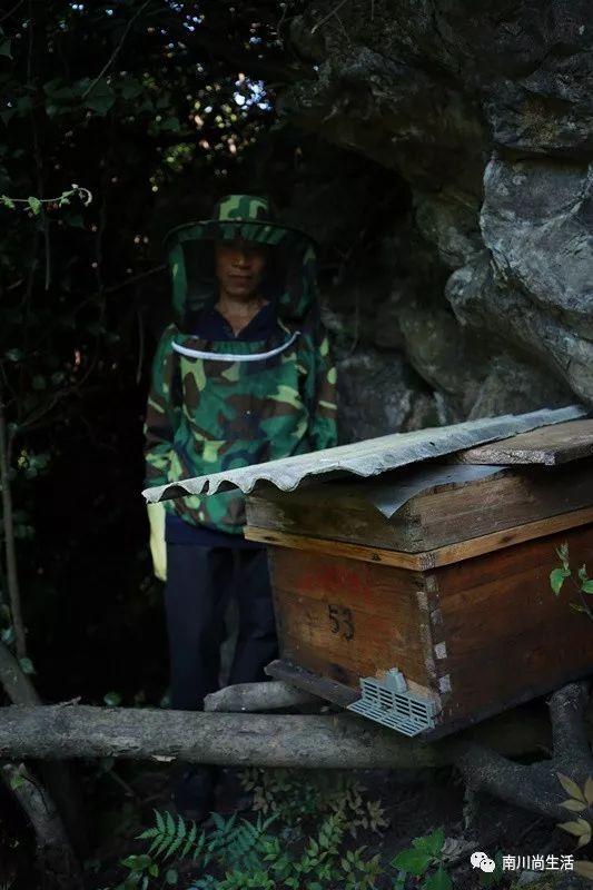 深山励志蜂农身残志坚自养蜂蜜辛苦钻研数余年一勺蜂蜜甜心间