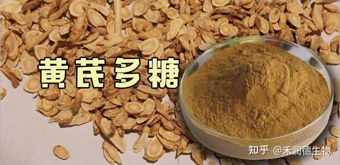 黄芪多糖对肉羊的免疫功能有什么作用