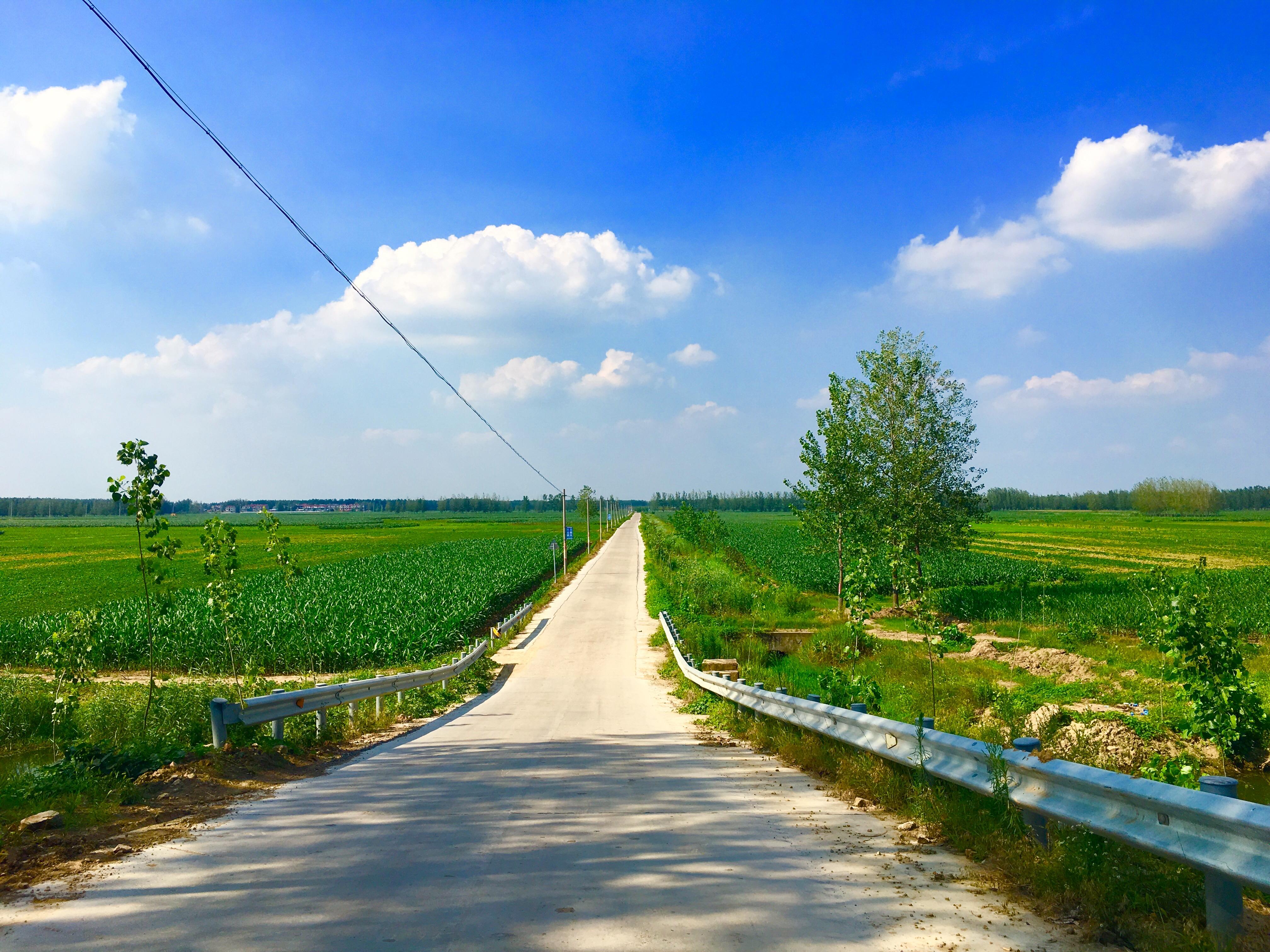 可以分享一张好看的夏天风景照吗