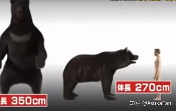 史上最恶兽害事件ー三毛別棕熊袭人事件 知乎