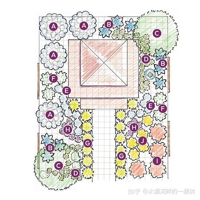 花境设计手绘平面图图片