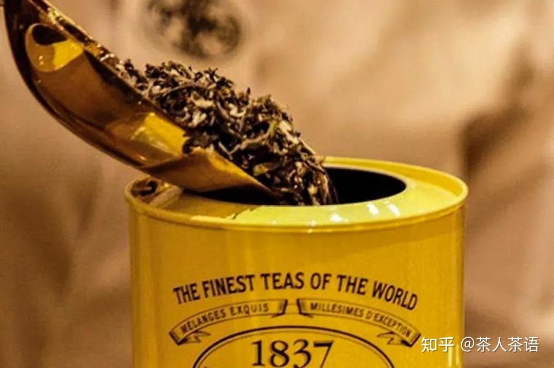 散茶,有多流行? 知乎