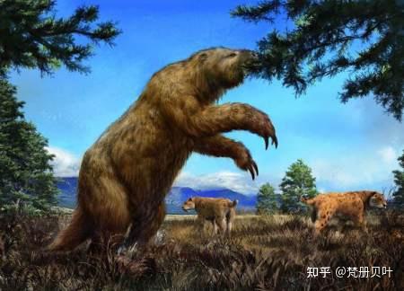 懒到极点的树懒:生树上、死树上,只有两件事最积极:拉屎和交配 - 知乎