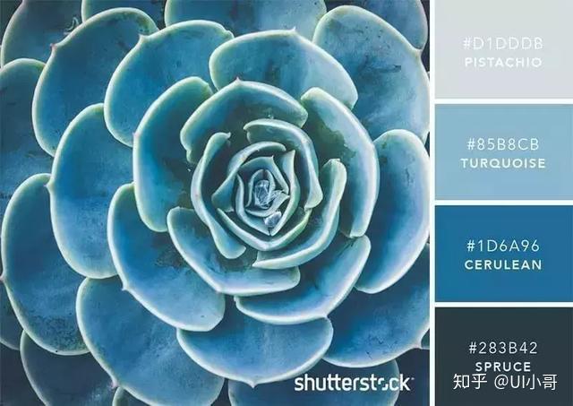 配色不懂101种色卡教会你