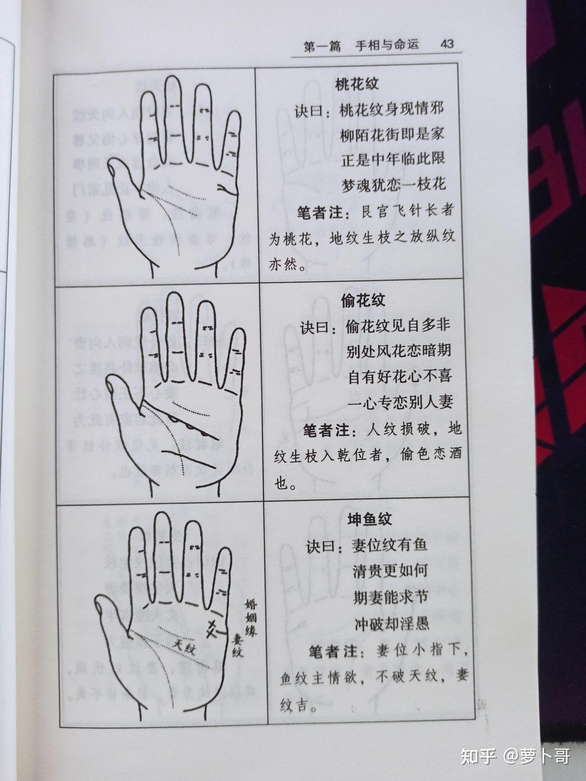 指纹各个纹路代表什么?你清楚吗?