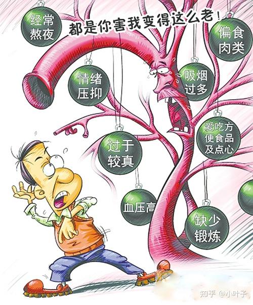 动脉硬化是怎么发生的血管要养不要治
