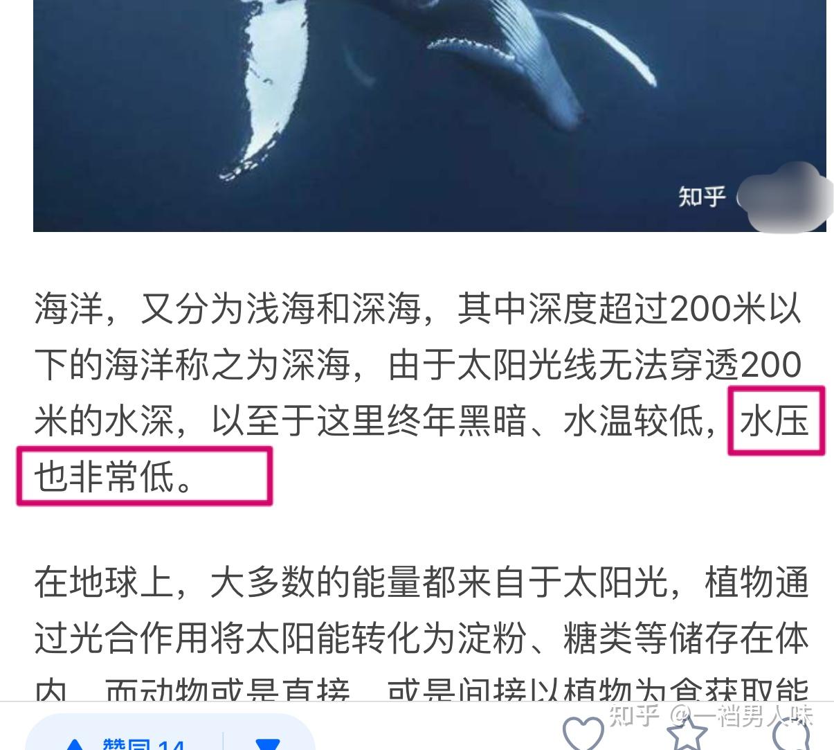 为什么说鲸落是最浪漫的死亡？