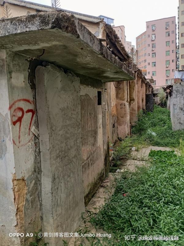 第1851回学历最高的城中村坂田岗头科技嬗变