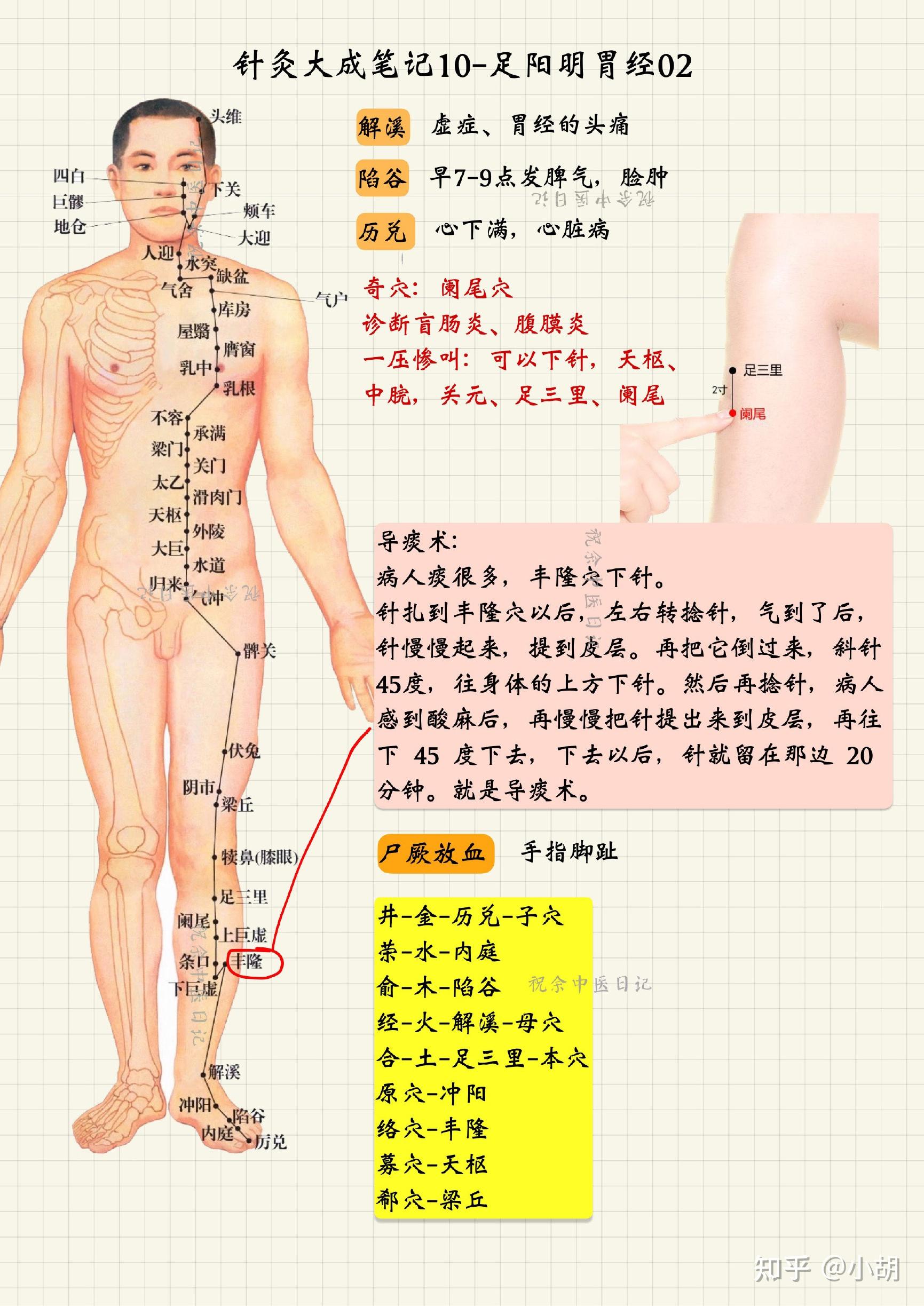 倪海厦针灸课笔记