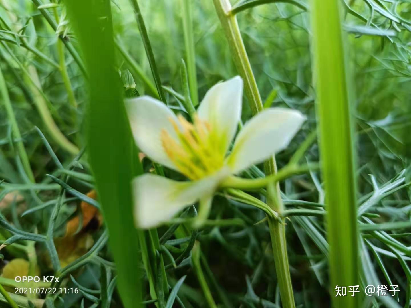 都在說長大卻從來沒有人告訴我怎樣長大